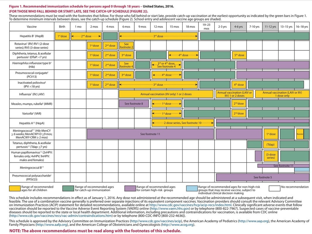 Routine Vaccine Schedule Tenth Street Pediatrics